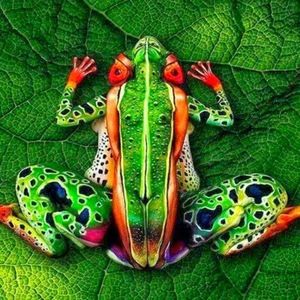 Meet your Posher, Azaria